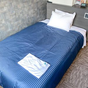 Hond-Vriendelijk Kleine Double Kamer
